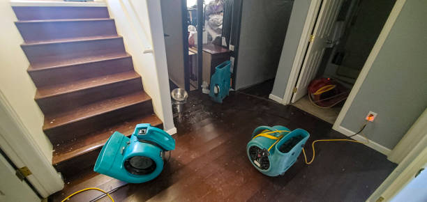 Best Local water damage restoration  in Robie Creek, ID