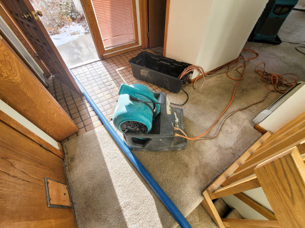 , ID Water damage restoration Company