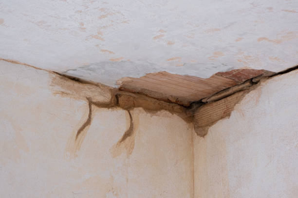 Best Commercial water damage restoration  in Robie Creek, ID