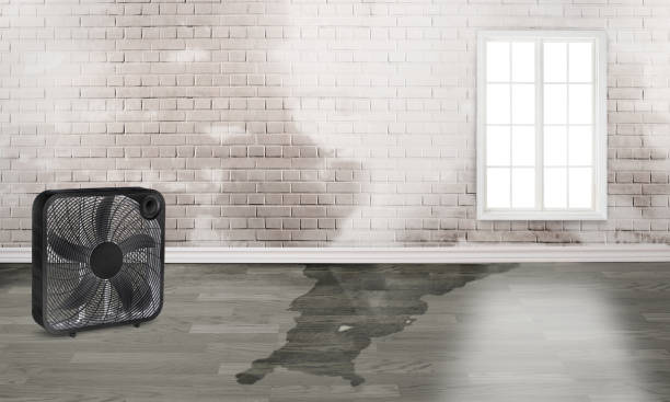  Robie Creek, ID Water damage restoration Pros