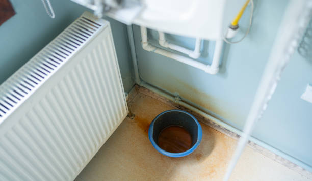 Best Water damage restoration specialists  in Robie Creek, ID